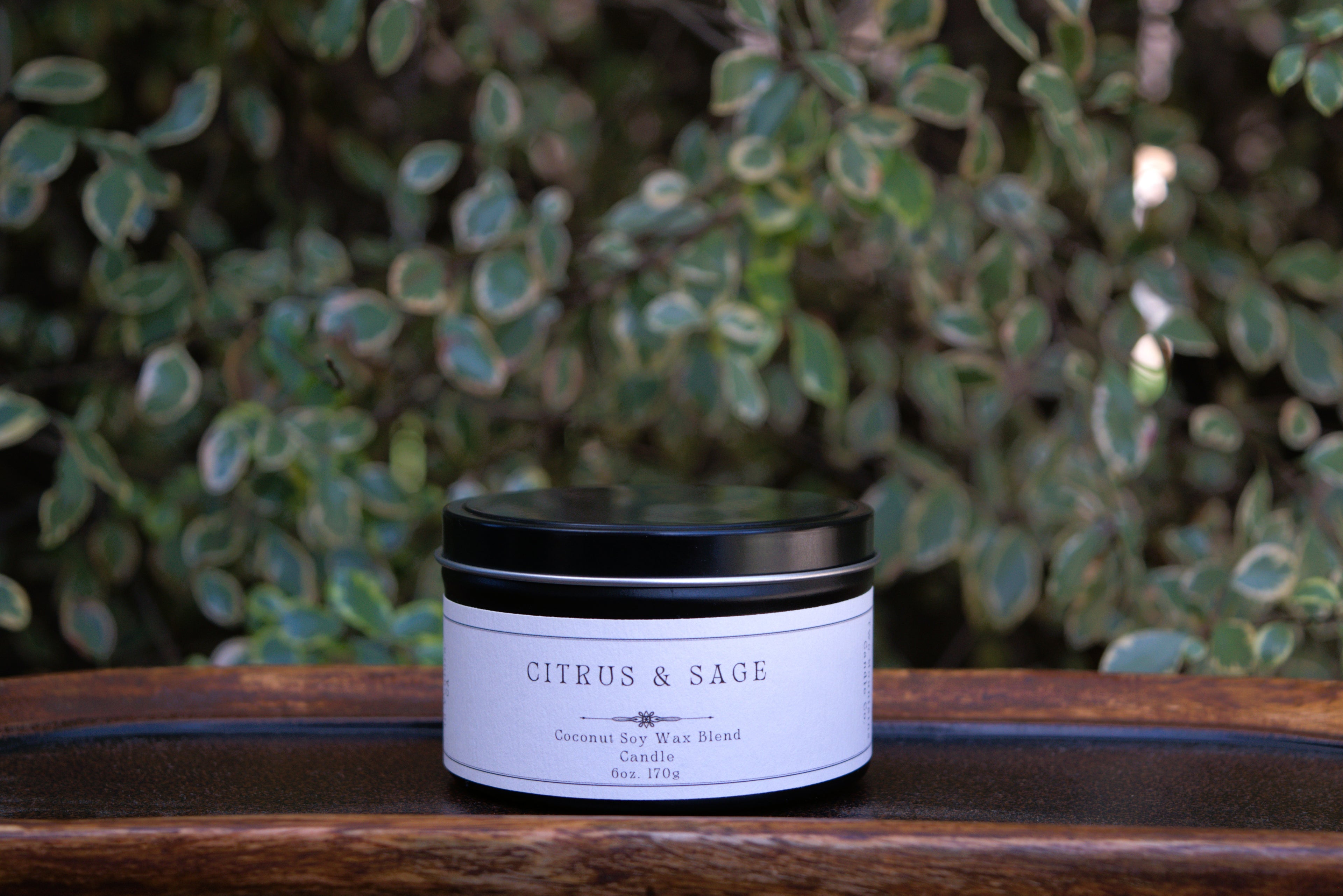 Citrus & Sage 6 oz. Candle