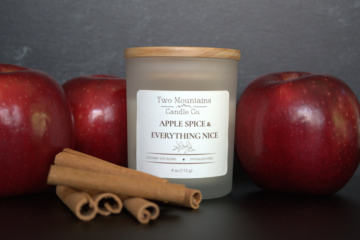 Apple Spice & Everything Nice 4 oz. Candle