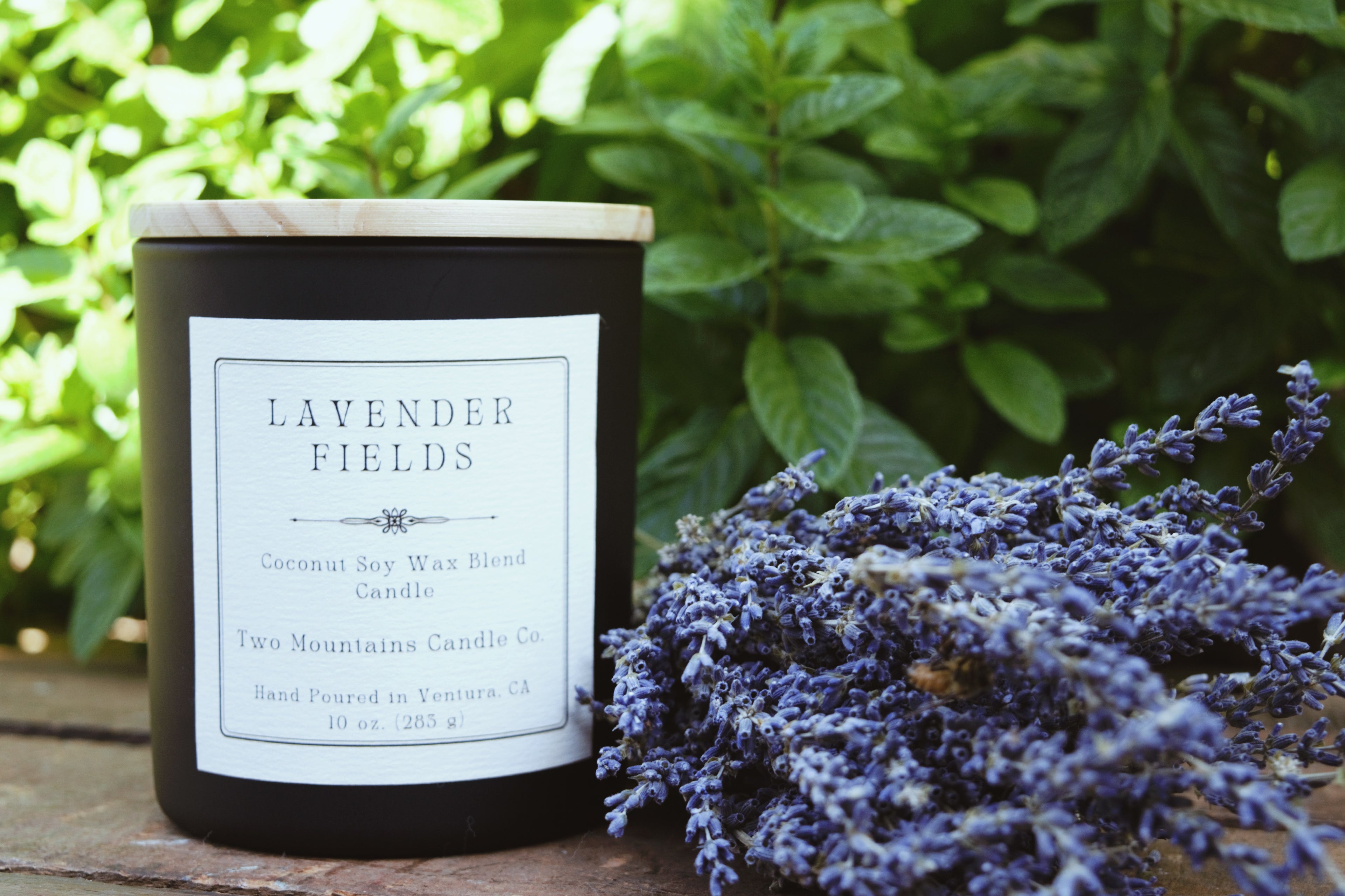 Lavender Fields 10 oz. Candle